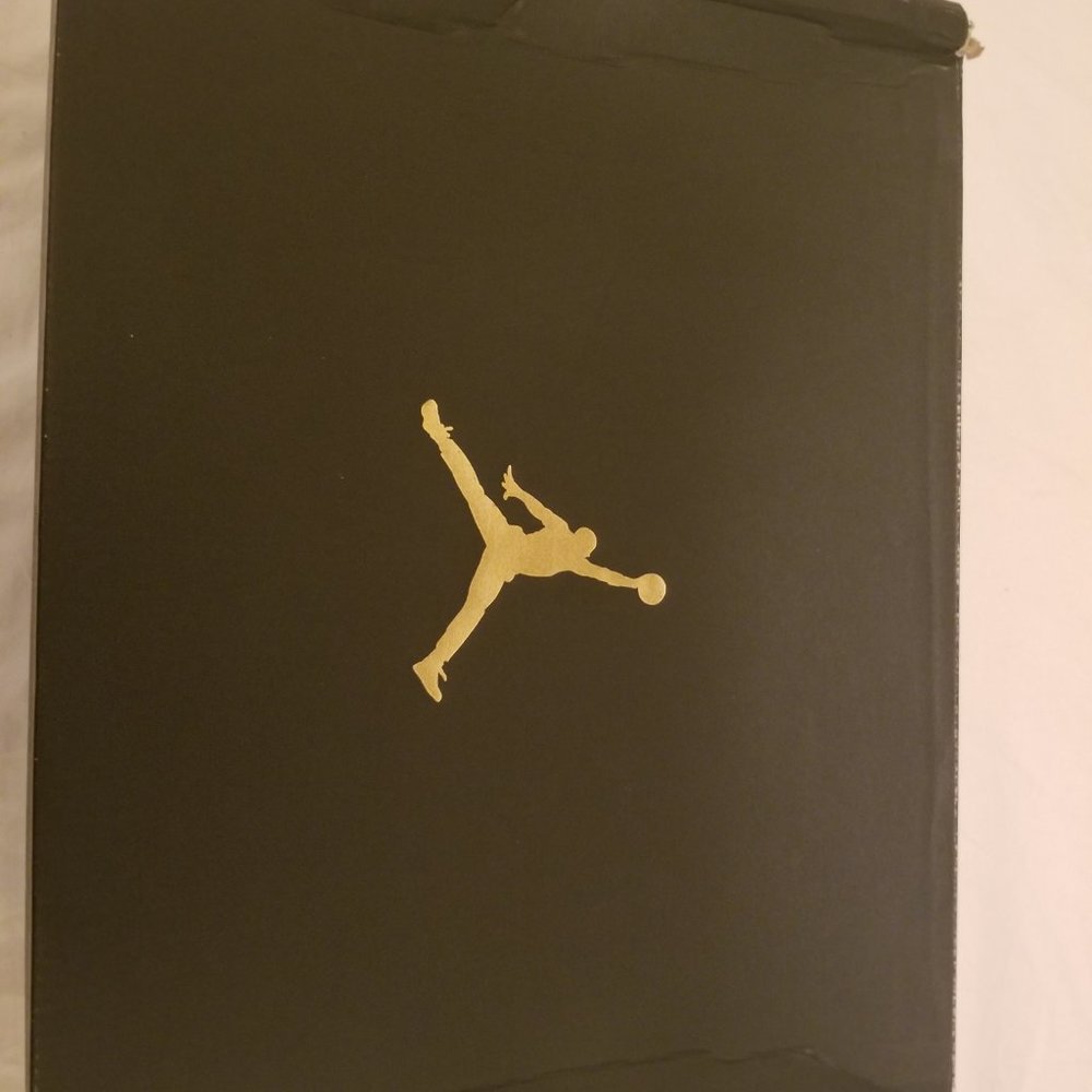 Nike Air Jordan Dub Zero Varsity - Picture 5 of 7